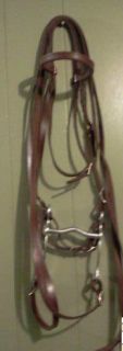 Brand New Headstall and Split Reins Horse Tack Bridle
