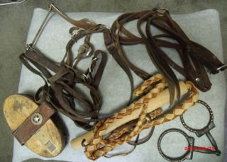 Horse Equestrian Training Whip, Rommel Reins, Santa Barbara Port Bit