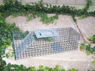 Small Advantek Animal Cage Trap