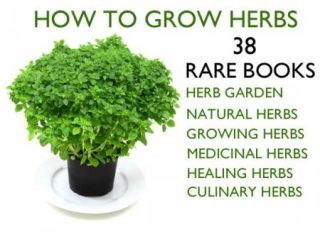 Herbal Medicine Herbs and How to Grow Culinary Herb Gardens 38 RARE
