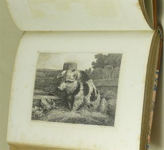 1812 Samuel Howitt Miscellaneous Etchings Old New 50 Etched Plates