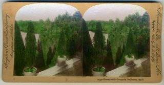 Stereoview Hunnewells Grounds Wellesley Mass 1899 Keystone