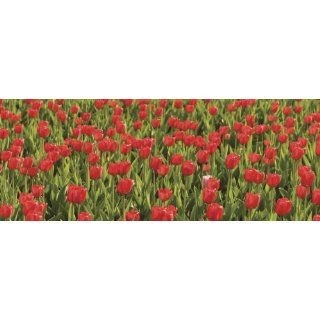 Brewster UMB91129 48 Inch by 126 Inch Red Tulips Wall