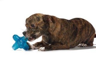 Dog Toy Pet Stages Orka Chew sm.