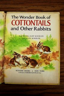 The Wonder Book Of Cottontails and Other Rabbits By Cynthia and Alvin