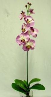 33 in Phalaenopsis Orchid PURPLE Silk Flowers, Artificial Plants