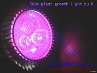  Red Blue Hydroponics Plant Grow Flowering 3x1W Light LED Bulb
