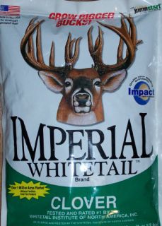 Whitetail Institute Imperial Clover Seed Deer Plot 4