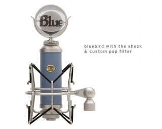  Microphones Bluebird Microphone Recording Vocal Instrument Studio Mic