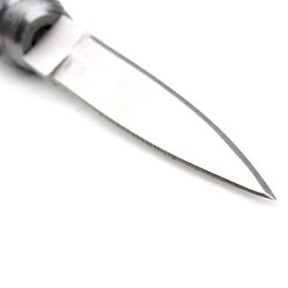 EUR € 8.55   assemblato in acciaio inox coltello portachiavi, Gadget