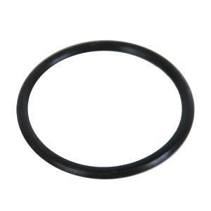  Ring for Intex Salt Water System Pool Pump Above Ground Pool