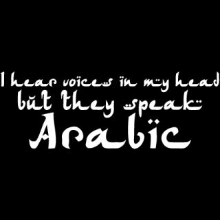 Arabic Islam QurAn Funny Middle East Humor T Shirt XL