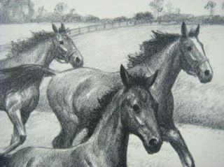 Original 1948 CW Anderson Horse Print Early Speed