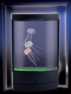 Fascinations Magic Jellyfish with LED Lights 110V