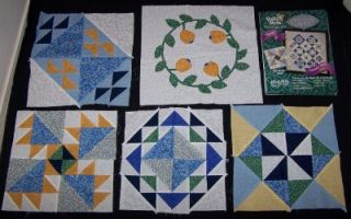 Joann Fabrics 5 Completed Quilt Blocks for The Century Quilt Jan May