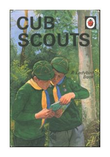 Ladybird Cub Scouts Series 706 Matt Covers 1982 Good Condition  