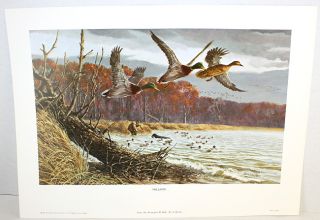 1977 Remington Wildlife Art Collection Pioneers in Conservation 4 Prints  