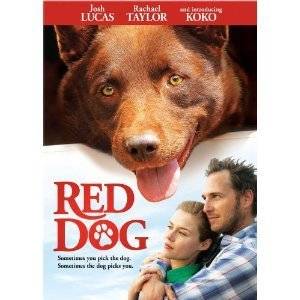 Red Dog DVD 2012 Josh Lucas Rachael Taylor KOKO  