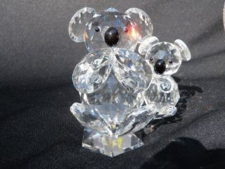Toneva Crystal Plus Koala Bear Baby