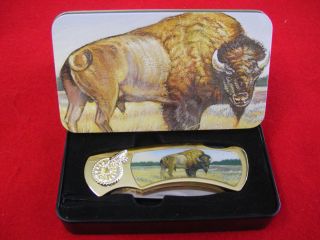 Buffalo Decorative Folding Knife in Collector Tin