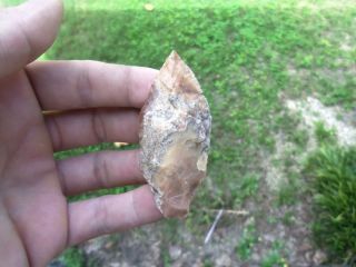 Florida Arrowheads Artifacts 2 1 2 Thonotosassa Needle Tip Sale