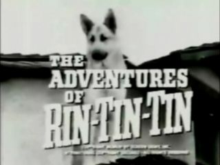 of Rin Tin Tin 26 Episodes on 5 DVDs Lee Aaker Classic T V