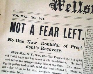 McKinley Assassination Leon Frank Czolgosz 1901 Newspaper
