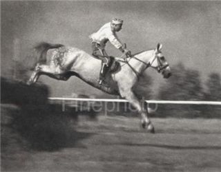 Olympics Equestrian Horse Jumping Denmark Leni Riefenstahl