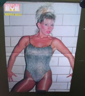 Jake Roberts Ric Flair Lex Luger Wrestling Poster