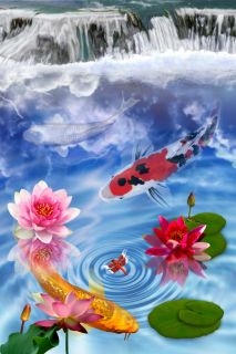 LIVE KOI FISH GARDEN FALLS SHOWA FROG POND PAINTING LIMITED EDITION 3
