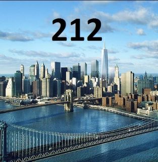 MANHATTAN NYC 212 AREA CODE PHONE NUMBER ON SIM CARD   EXCLUSIVE