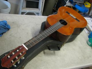 Vintage Fernandez Grand Concert 35 Classical guitar Solid Cedar Top