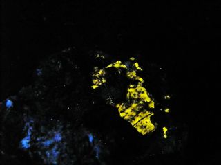 Fluorescent Mineral Mangan Apatite High Grade Parker Mtn New Hampshire