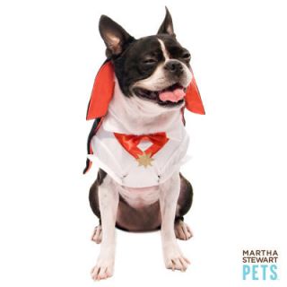 Martha Stewart Pets Count Dracula Vampire Dog Halloween Costume s L