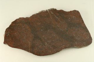 Full Slice Stone Meteorite Chondrite H4 Markovka 248G