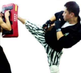 Martial arts Boxing kick training target punch pad karate MMA focus