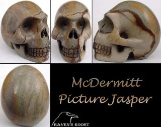 Carved Disaster Peak Mcdermitt Picture Jasper Crystal Skull