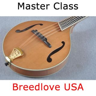 Breedlove Master Class Alpine Mandolin Made in USA Custom Shop