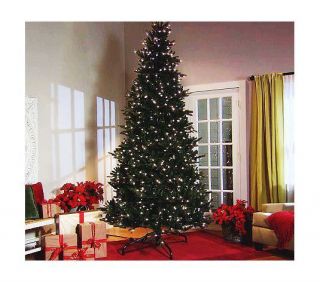 Bethlehem Lights 7 5 Ready Shape Scottsdale Christmas Tree RETAILS FOR