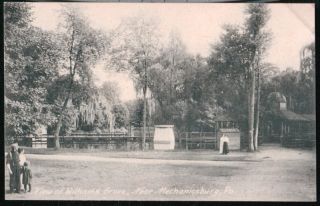 Mechanicsburg PA Williams Grove Park View Antique Postcard Early Old