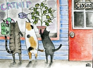 Cat Catnip Store Toy Folk Art Watercolor ACEO Original Painting