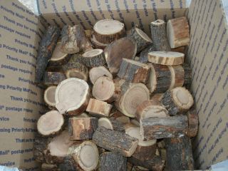 10 pounds of Mesquite chunks of wood for smoking, grilling, charcoal