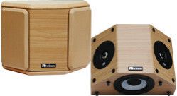 Axiom Audio QS8 Main Stereo Speakers