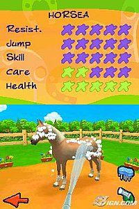 Petz Horsez 2 Nintendo DS, 2007