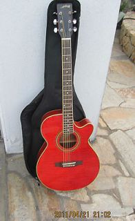 Arbor ACF 5 Acoustic Electric With Bag
