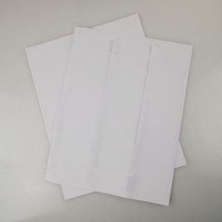 100 Sheets 3000 1 x 2 5/8 Address Return labels Avery Template 5160