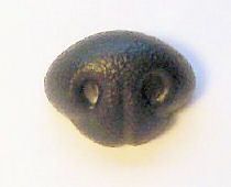 Animal Nose   Bears Dolls   50mm BLACK (1)