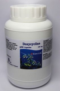 500 COUNTS DOXYCYCLINE ANTIBIOTIC 100 mg 500 COUNTS AQUATIC AQUARIUM