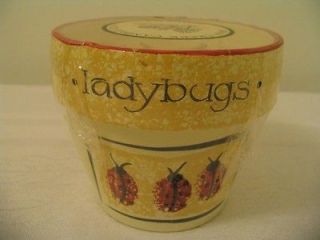 New Swan Creek Candle Co. Morning Dew Hand Painted Pot Lady Bugs KAK