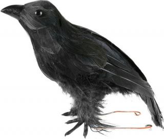 HALLOWEEN BLACK CROW BIRD PROP RAVEN ARTIFICIAL FAUX DECORATION